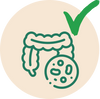 Gut Support