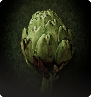 Artichoke Leaf Extract